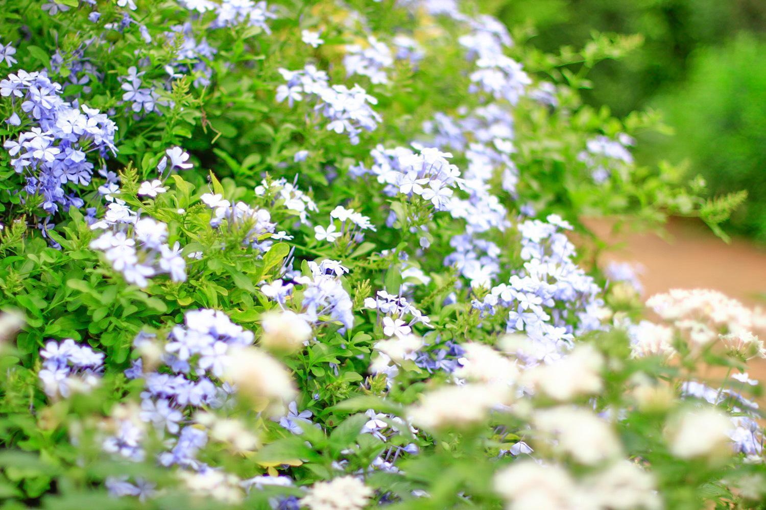 Pottery Flower B&B Jiji Buitenkant foto
